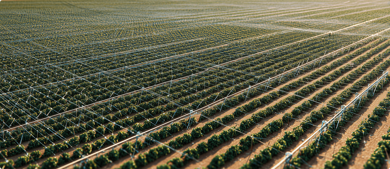 Environmental benefits - Aerial view of agricultural transformation