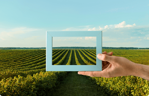Economic Model - Hand holding frame looking at green crops