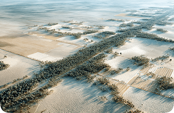 Dust Storm Mitigation