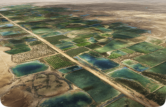 Soil Salinity Reversal