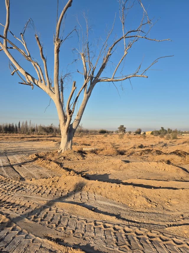 Desert to Farmland Transformation