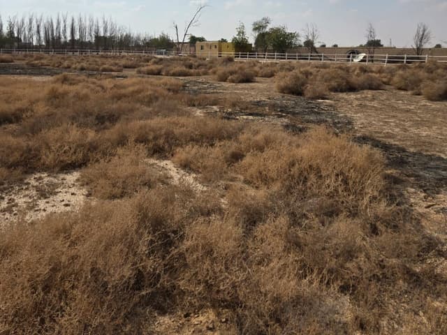 Desert to Farmland Transformation