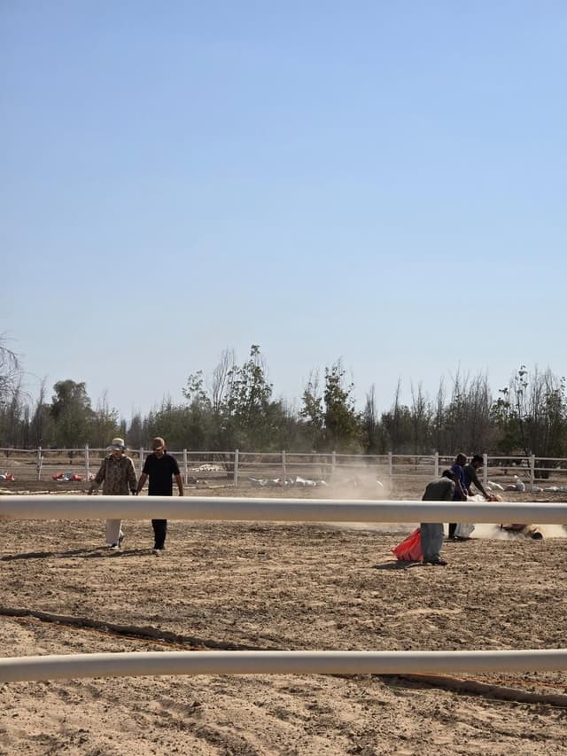 Desert to Farmland Transformation