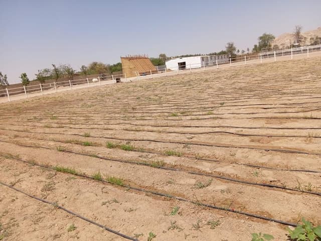 Desert to Farmland Transformation