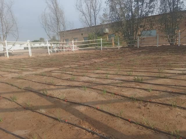 Desert to Farmland Transformation