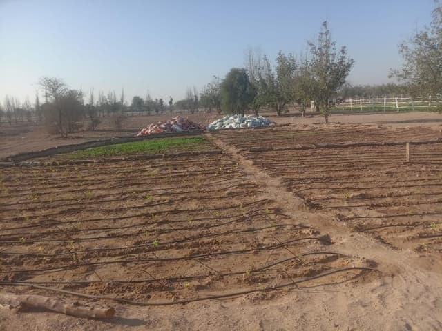 Desert to Farmland Transformation